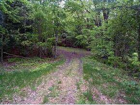 0 Obrien Road Rockingham, VT 05101 - Photo 2 of 5