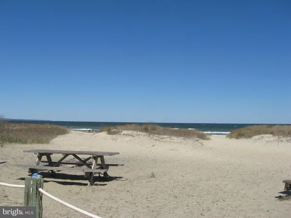 a view of beach and ocean