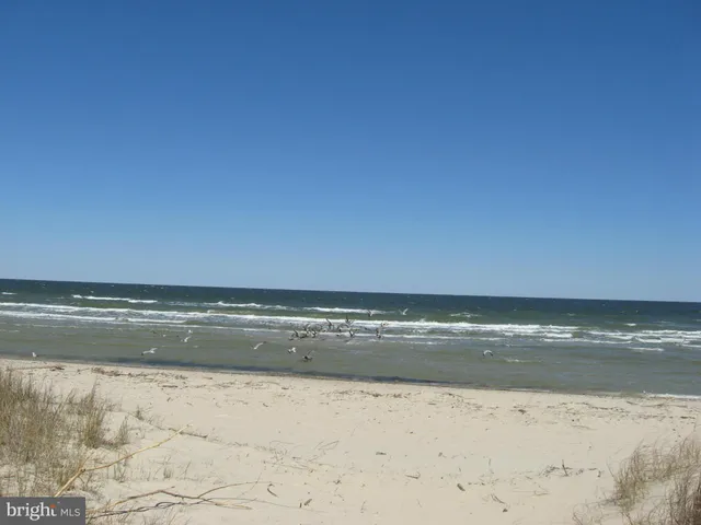 $2,000 | 1594 North Harbor Drive, St. Leonard, MD 20685