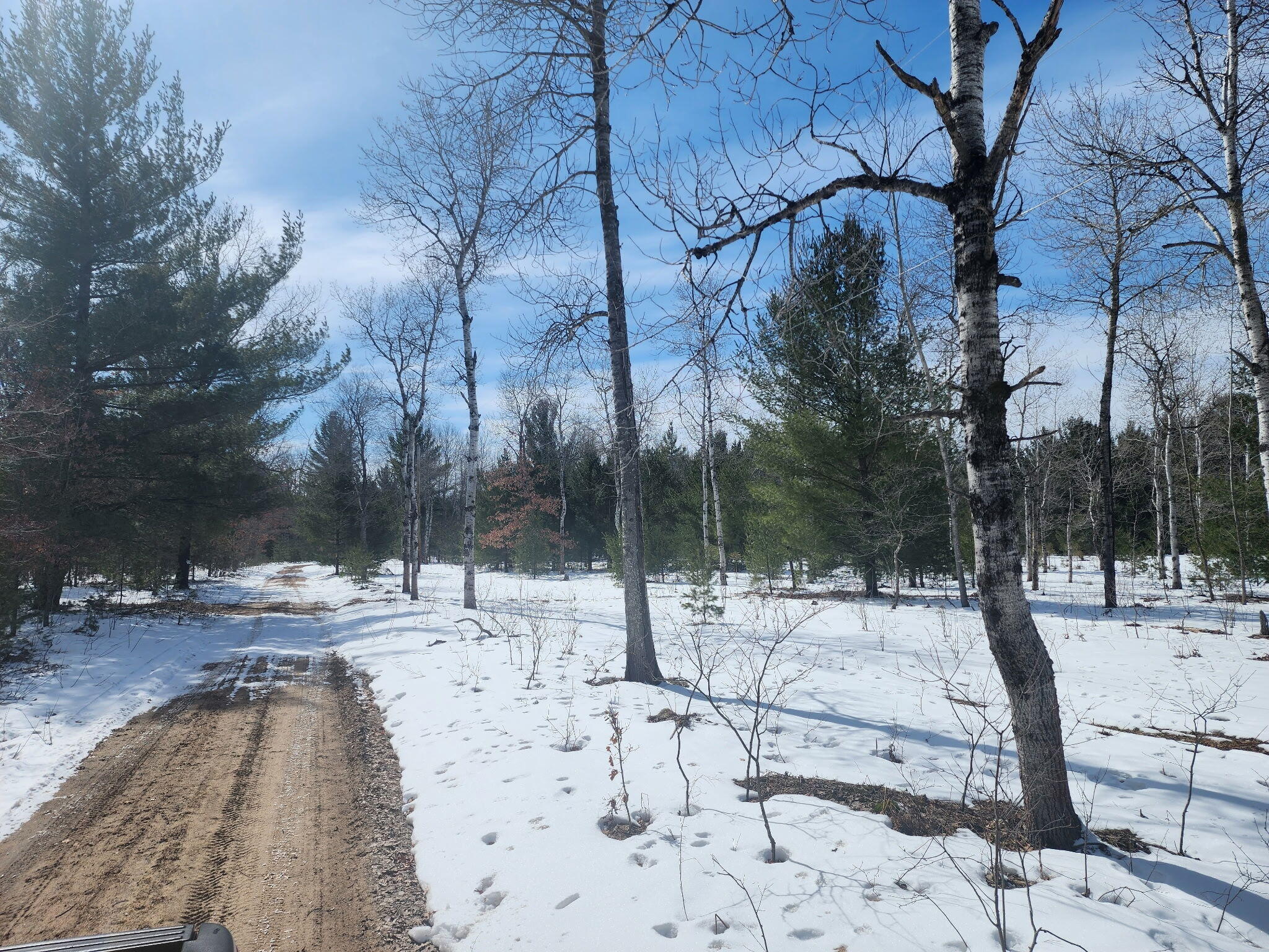 0 Hall Creek Road Interlochen, MI 49643 - Photo 3 of 14 5941001324508576988