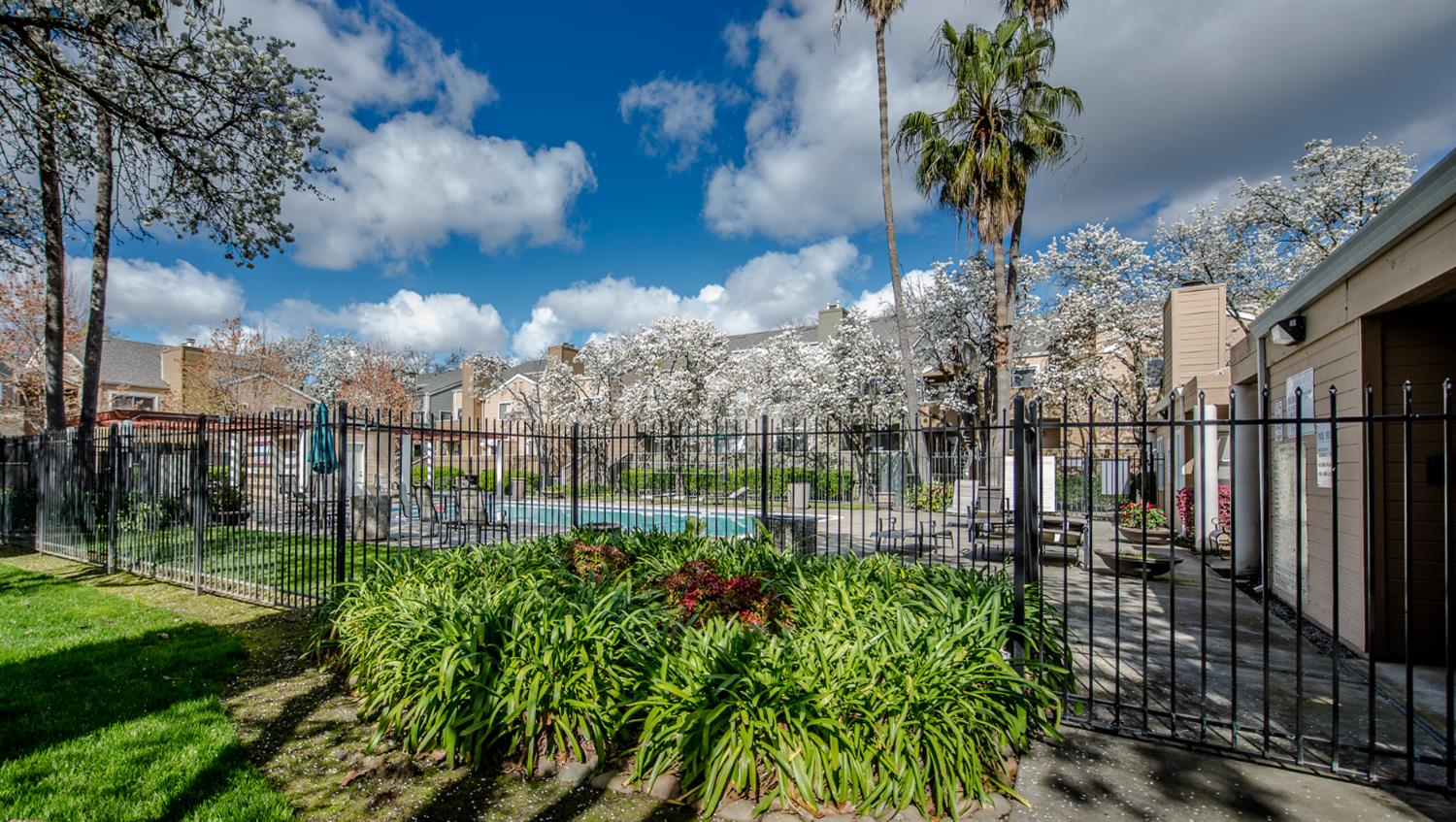 1019 Dornajo Way, Unit 244 Sacramento, CA 95825 - Photo 31 of 41 a view of a backyard