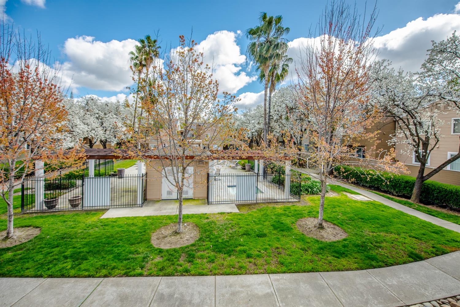 1019 Dornajo Way, Unit 244 Sacramento, CA 95825 - Photo 4 of 41 a front view of a house with garden