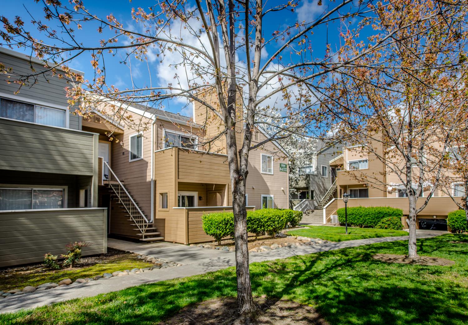 1019 Dornajo Way, Unit 244 Sacramento, CA 95825 - Photo 41 of 41 a view of a white house next to a yard with large trees