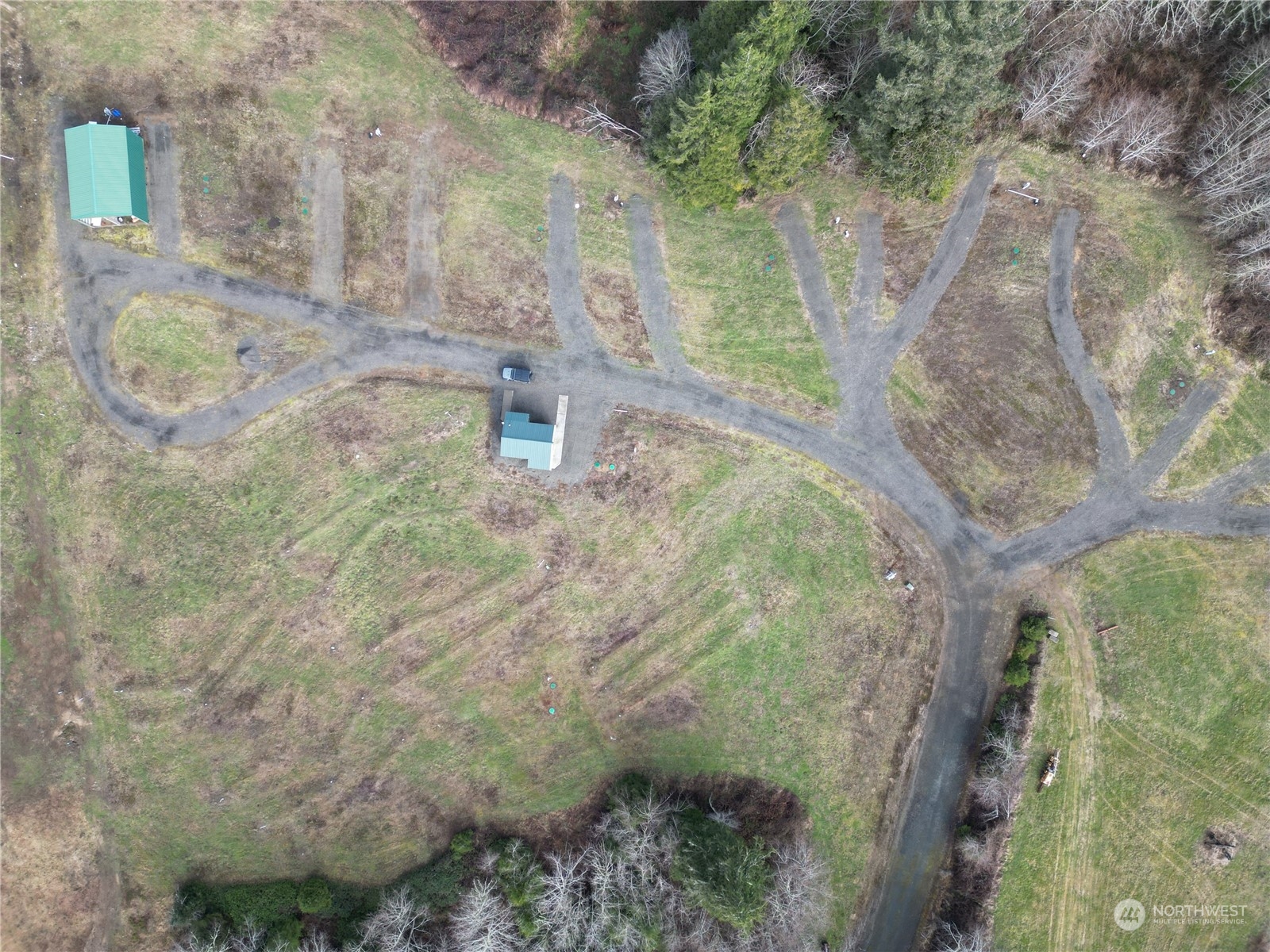 630 Chinook Valley Road Long Beach, WA 98631 - Photo 22 of 27 a close up of a tree