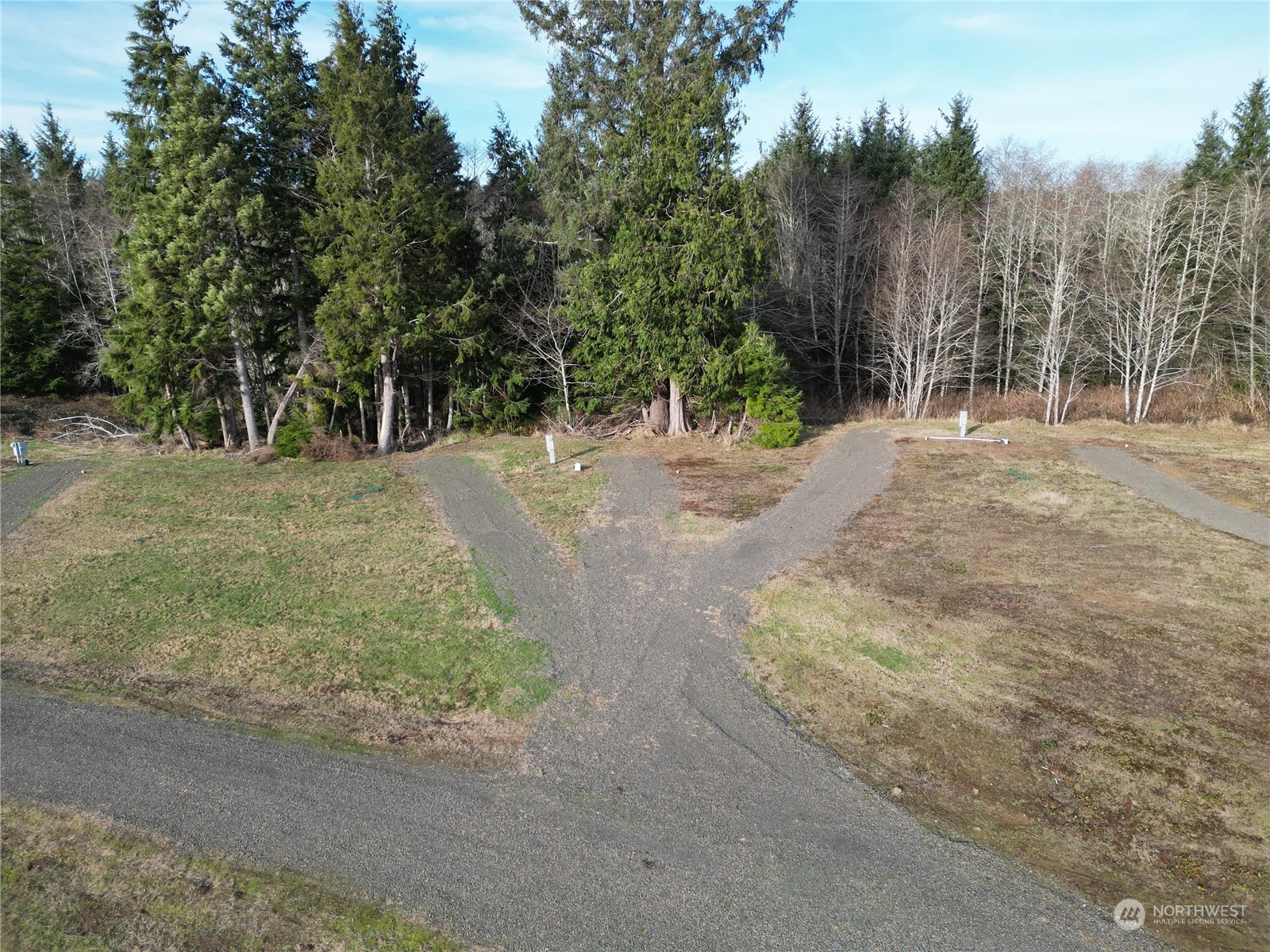 630 Chinook Valley Road Long Beach, WA 98631 - Photo 6 of 27 a view of a yard with trees