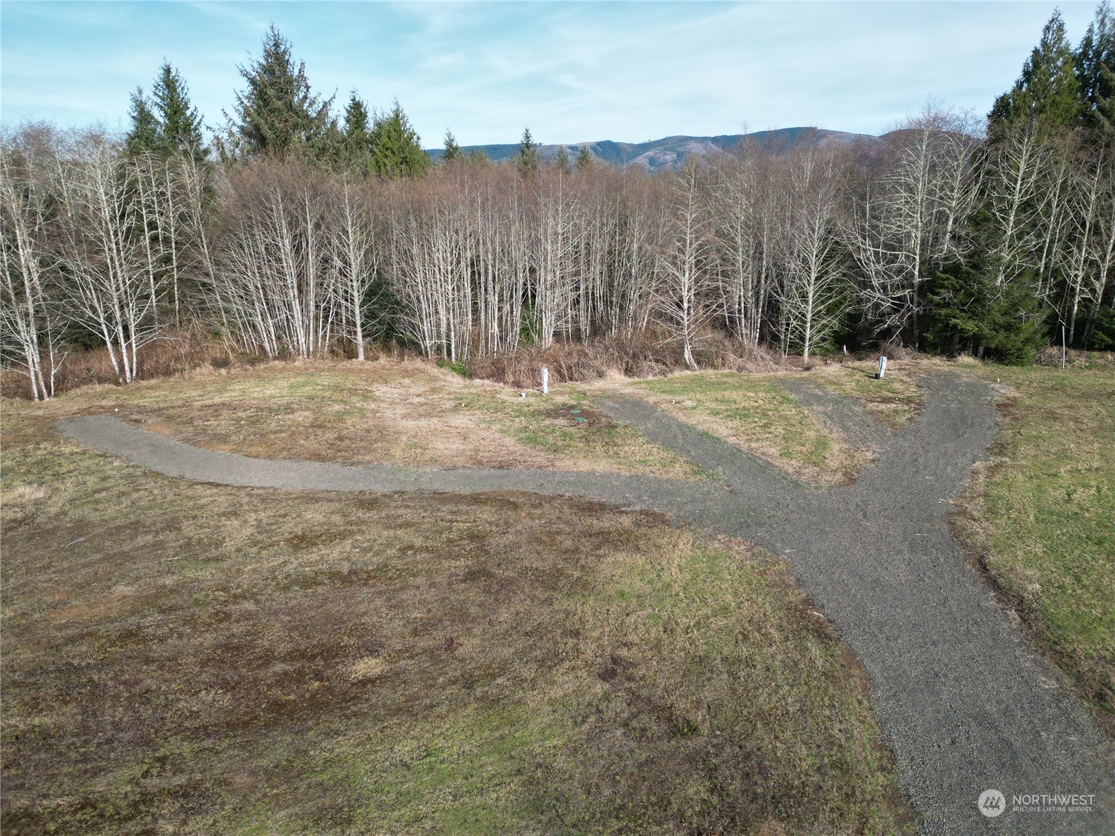 630 Chinook Valley Road Long Beach, WA 98631 - Photo 7 of 27 a view of large trees with mountain view in back