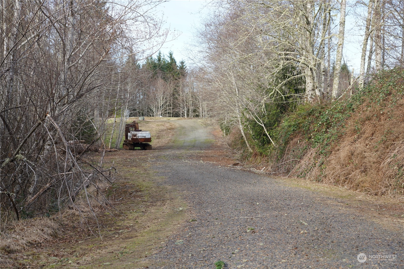 630 Chinook Valley Road Long Beach, WA 98631 - Photo 10 of 27 a view of road with large trees
