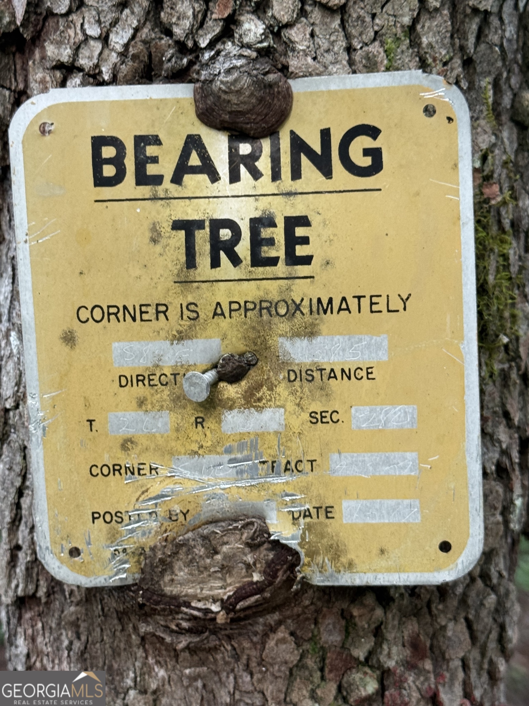 0 East Armuchee LaFayette, GA 30728 - Photo 17 of 54