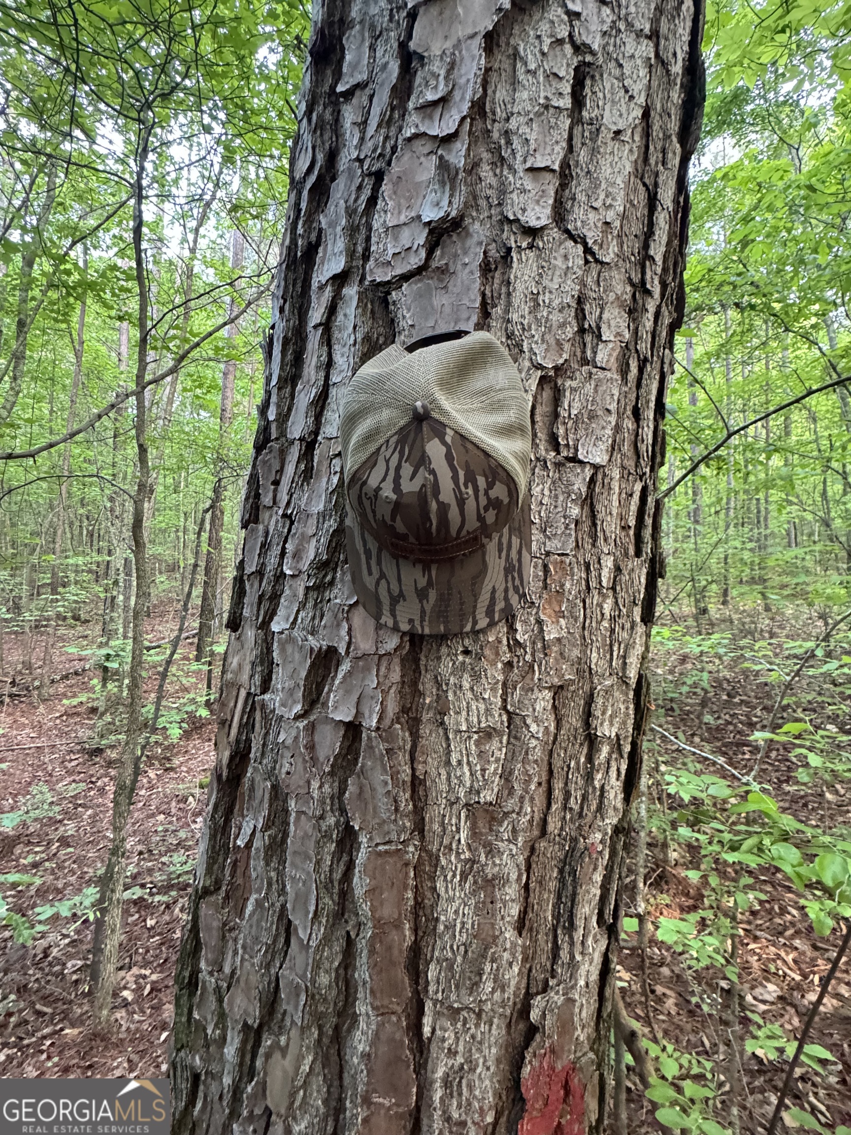 0 East Armuchee LaFayette, GA 30728 - Photo 19 of 54