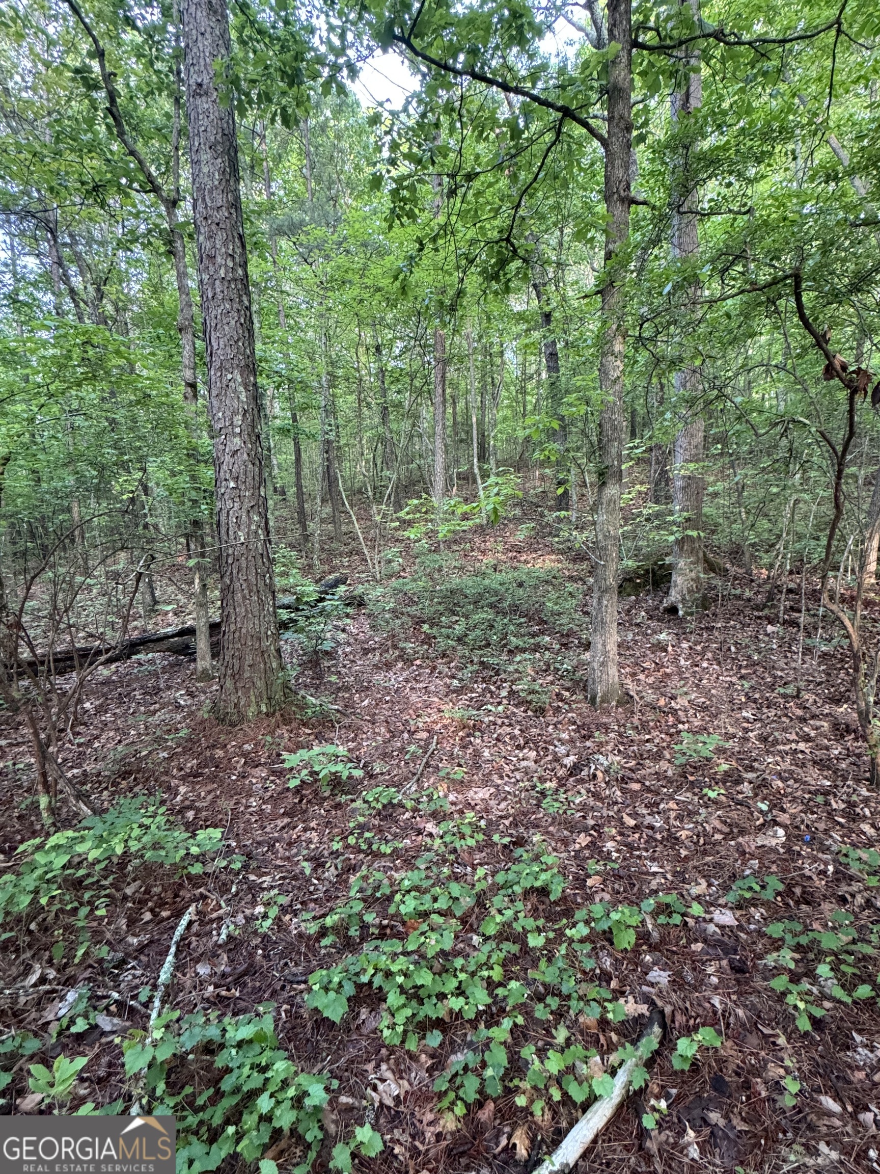 0 East Armuchee LaFayette, GA 30728 - Photo 20 of 54