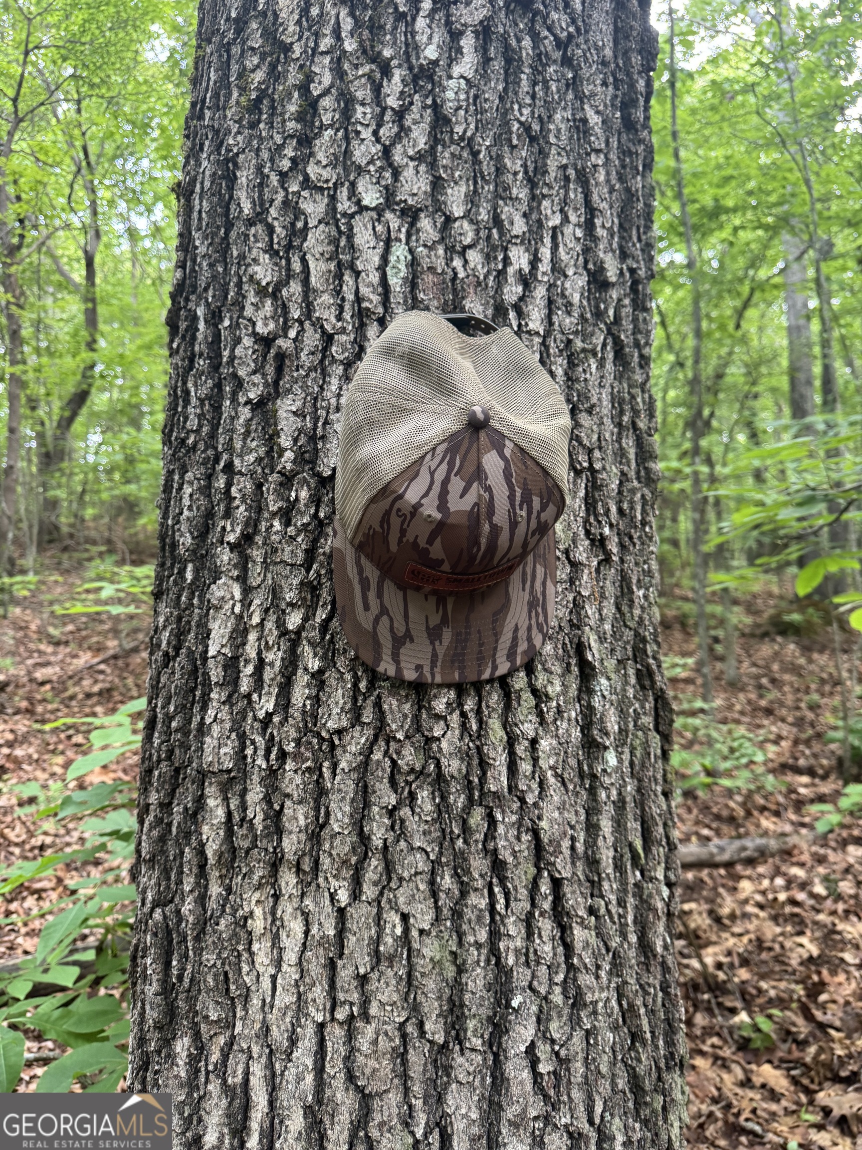 0 East Armuchee LaFayette, GA 30728 - Photo 23 of 54