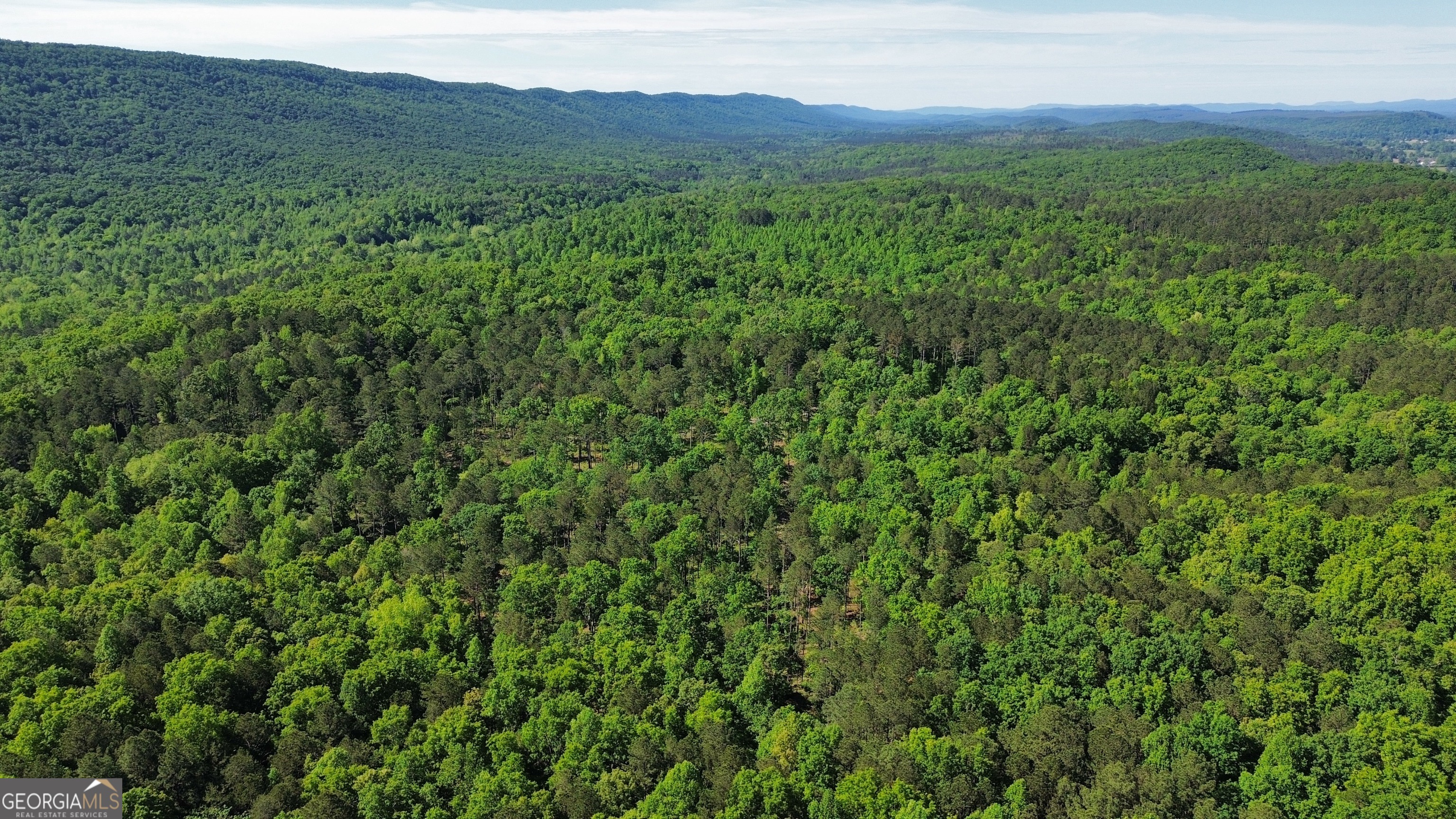 0 East Armuchee LaFayette, GA 30728 - Photo 28 of 54