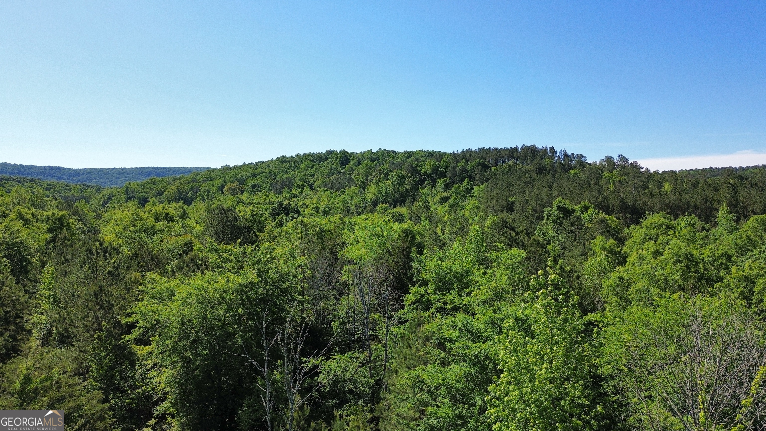 0 East Armuchee LaFayette, GA 30728 - Photo 37 of 54