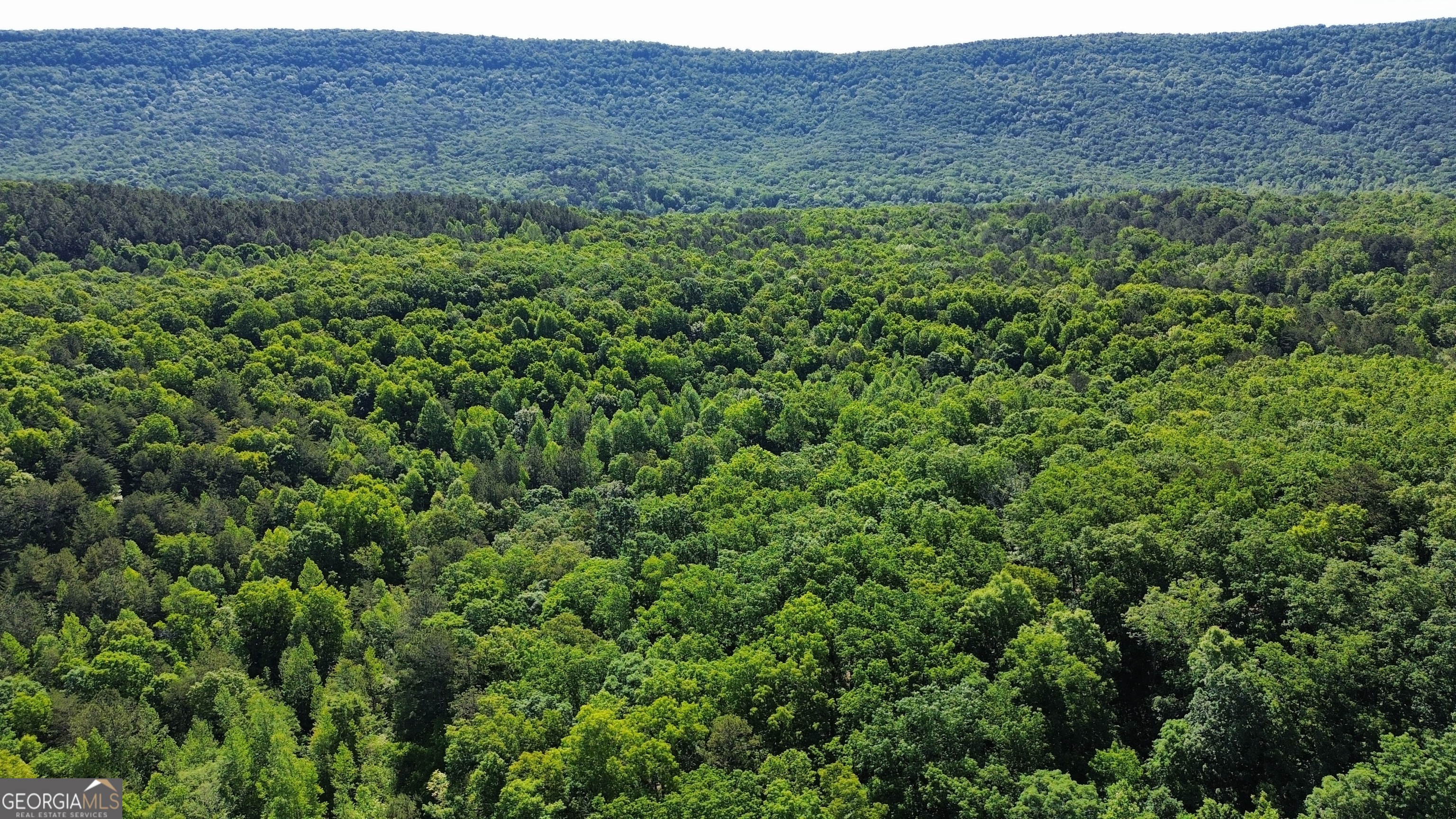 0 East Armuchee LaFayette, GA 30728 - Photo 4 of 54