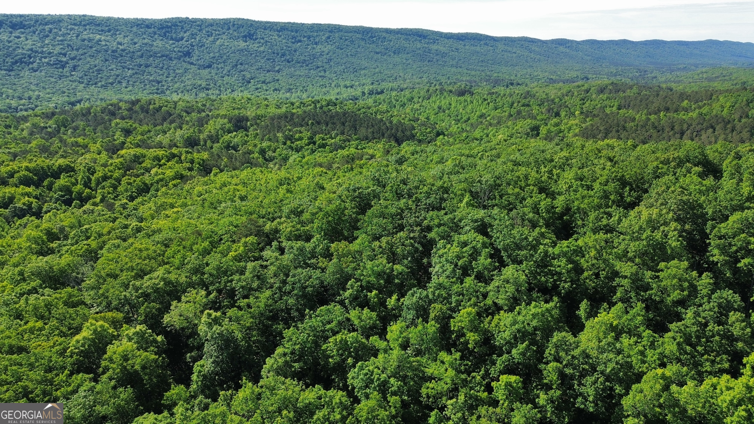 0 East Armuchee LaFayette, GA 30728 - Photo 5 of 54