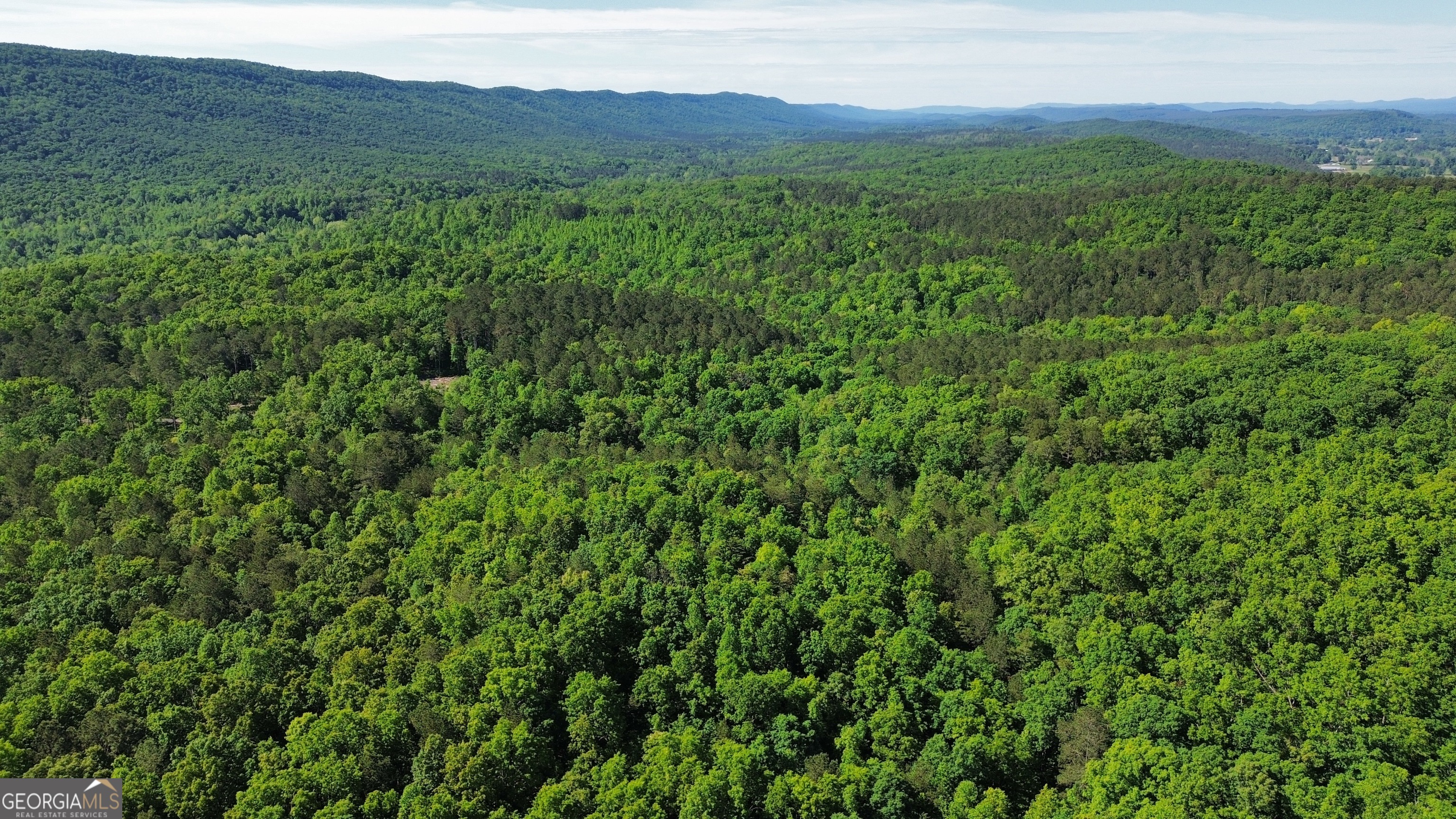 0 East Armuchee LaFayette, GA 30728 - Photo 6 of 54