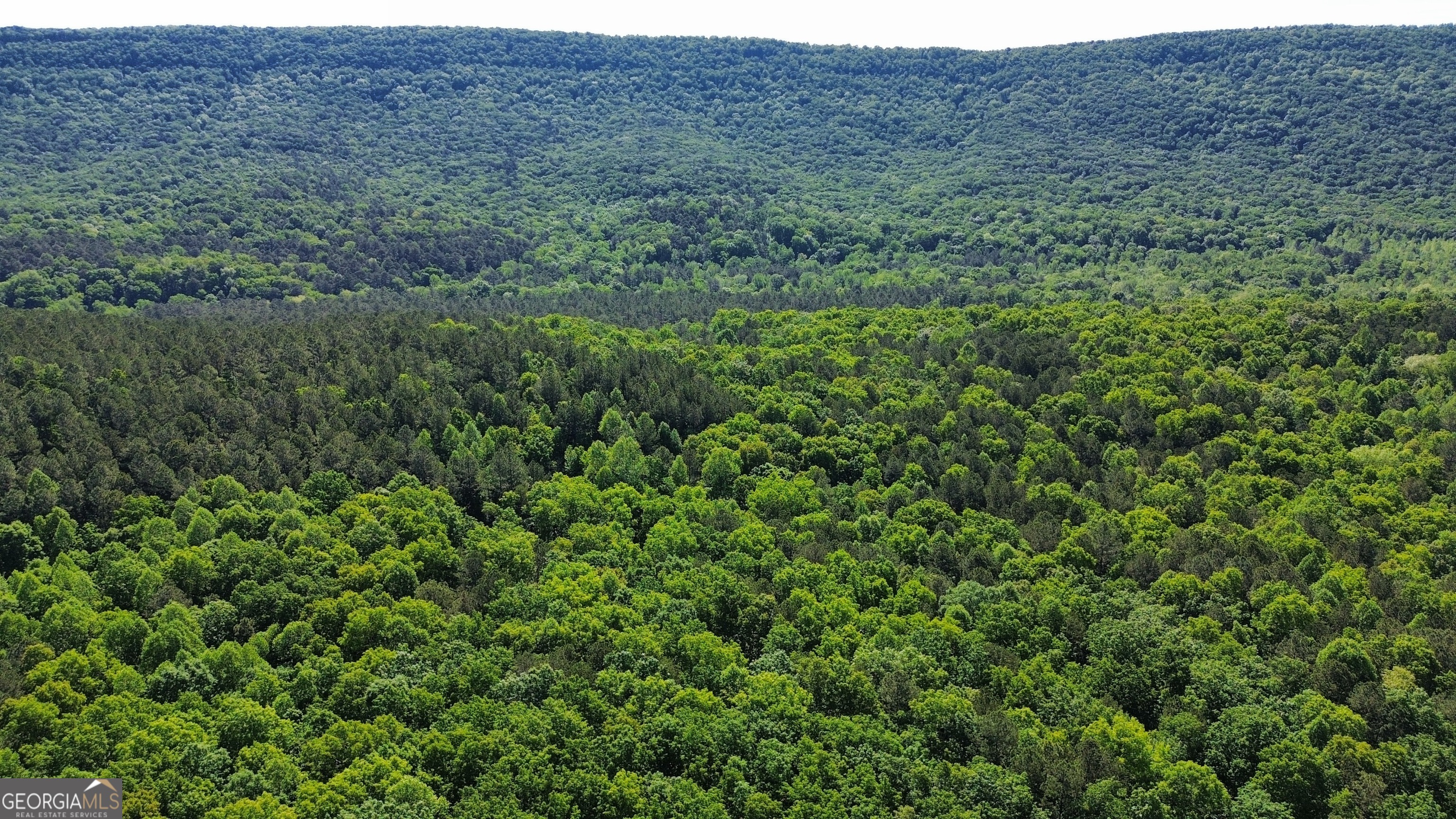 0 East Armuchee LaFayette, GA 30728 - Photo 9 of 54