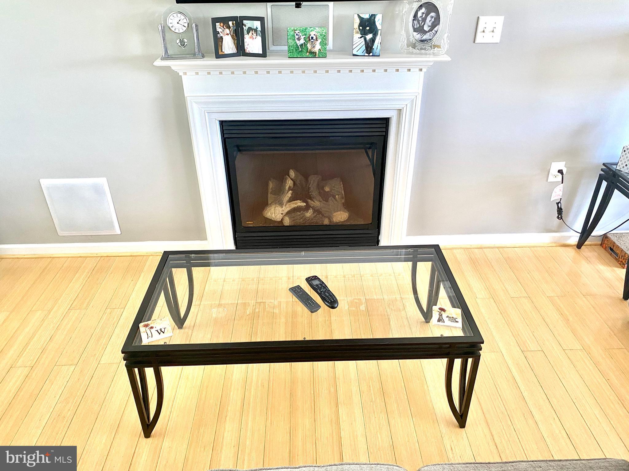 432 Thumper Drive Ranson, WV 25438 - Photo 5 of 46 Fireplace is propane/gas with mantle