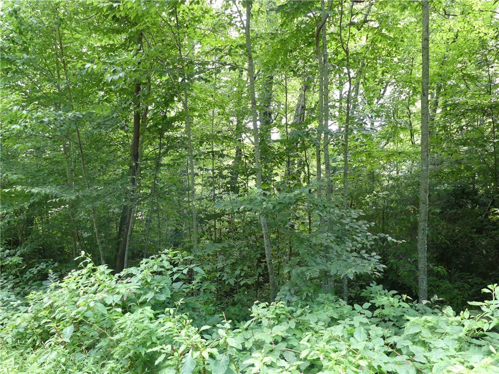 Lot 17 Farm Loop Road Banner Elk, NC 28604 - Photo 3 of 12