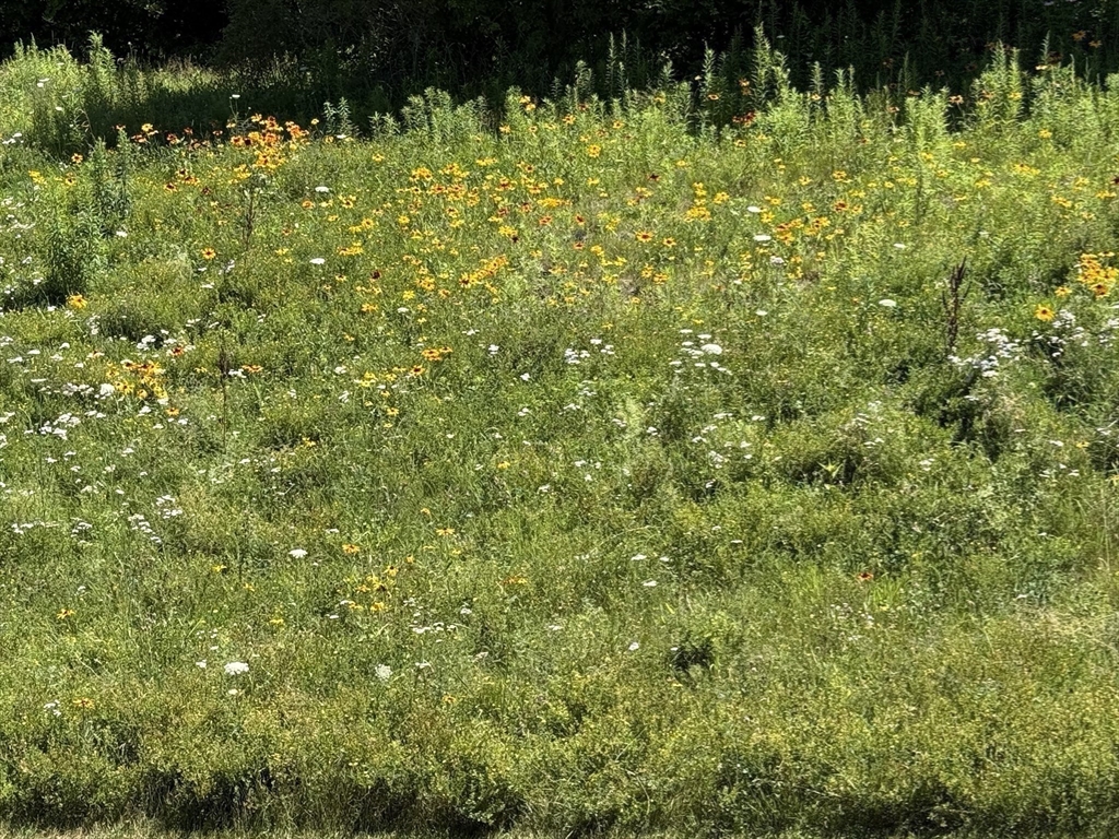 10 Soucy Drive, Unit 10 Rutland, MA 01543 - Photo 17 of 17