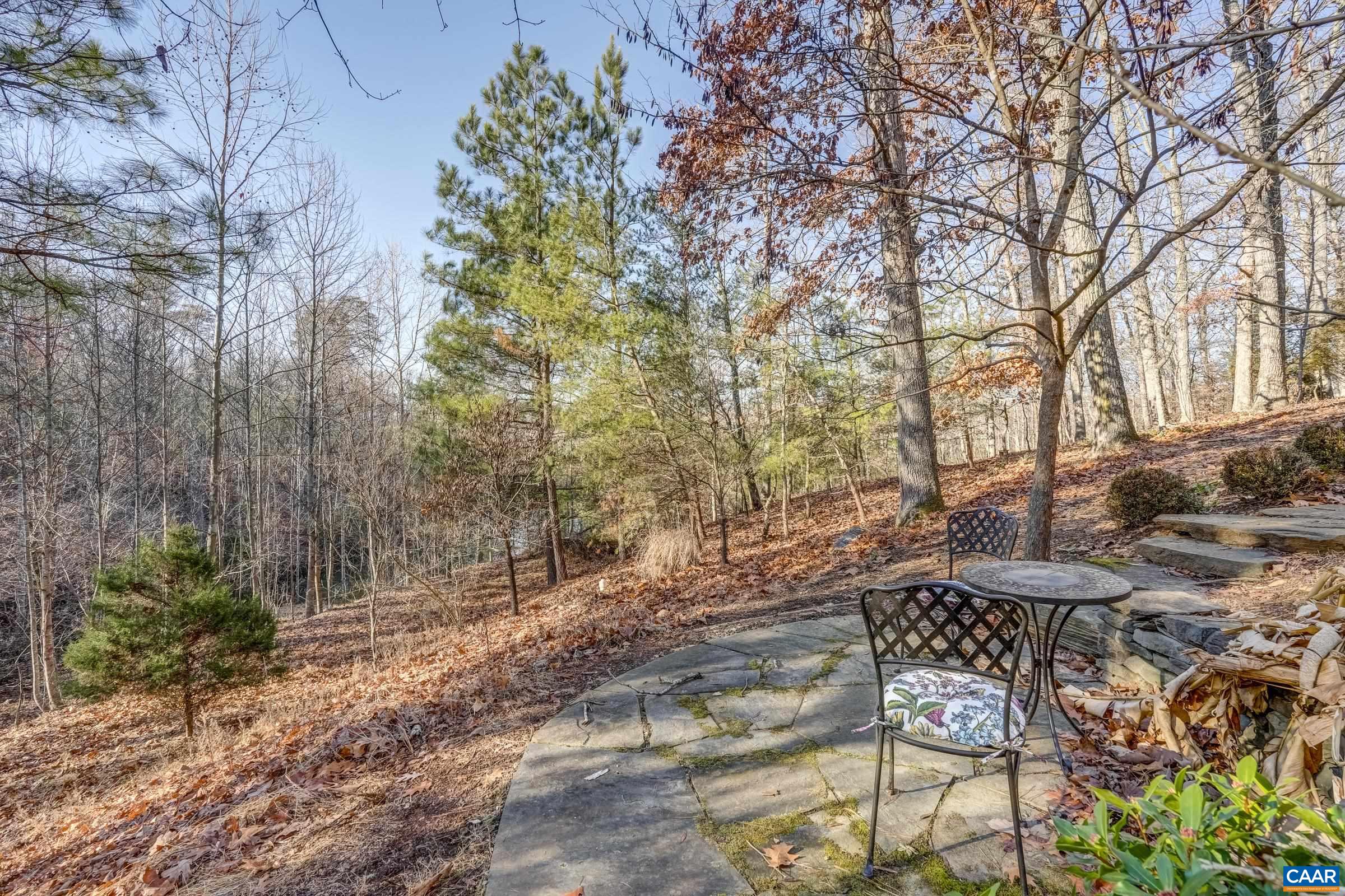 1849 Westerham Street Keswick, VA 22947 - Photo 11 of 75 a view of outdoor space yard and patio