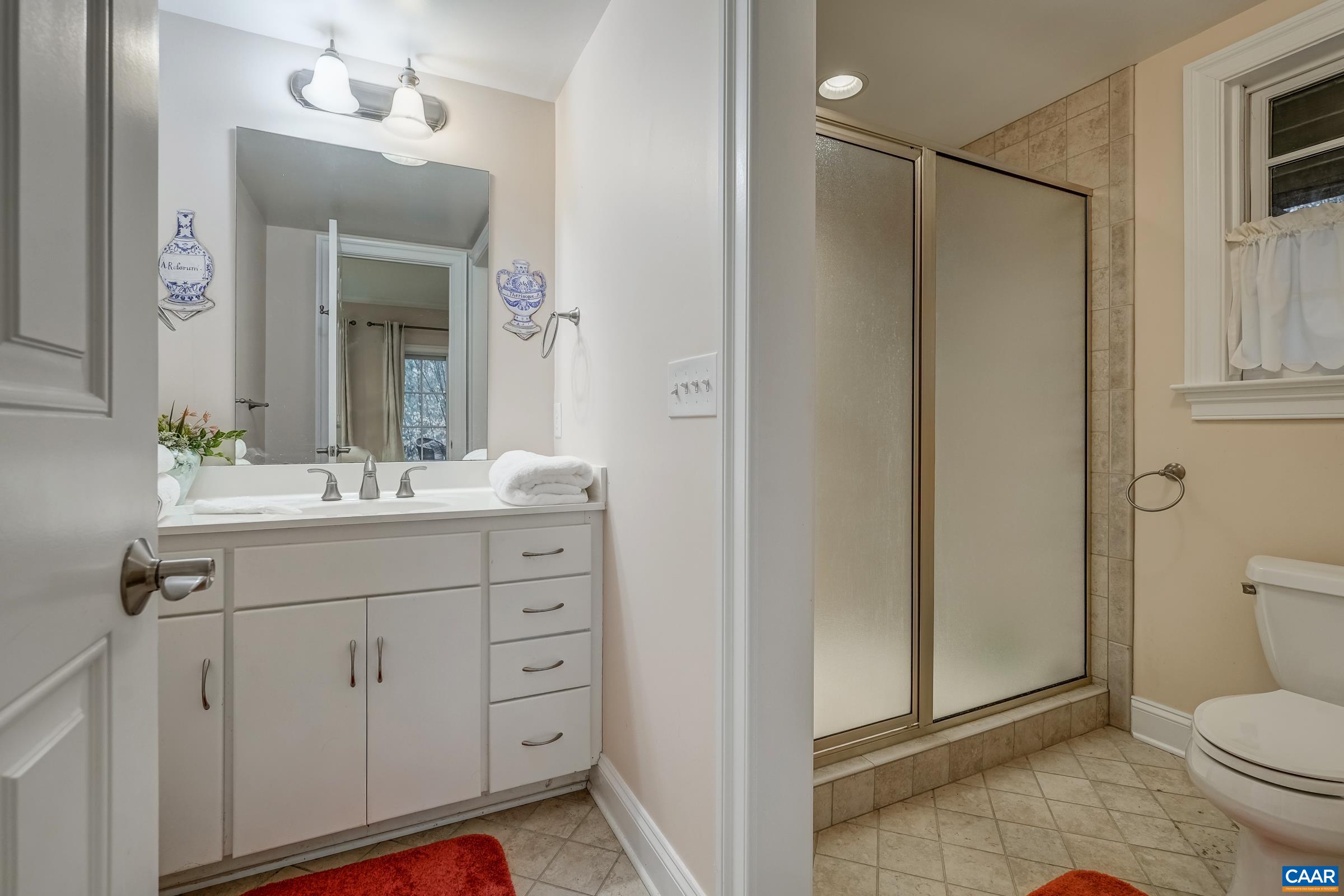 1849 Westerham Street Keswick, VA 22947 - Photo 69 of 75 a bathroom with a sink a toilet and shower