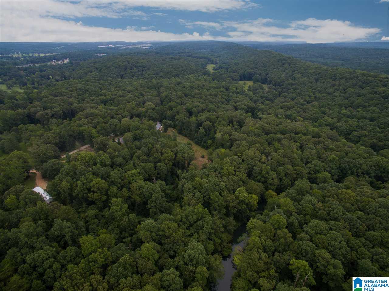 23227 East Ridge Drive McCalla, AL 35111 - Photo 40 of 49
