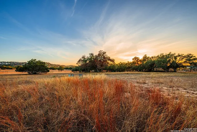 a front view of a house with plants