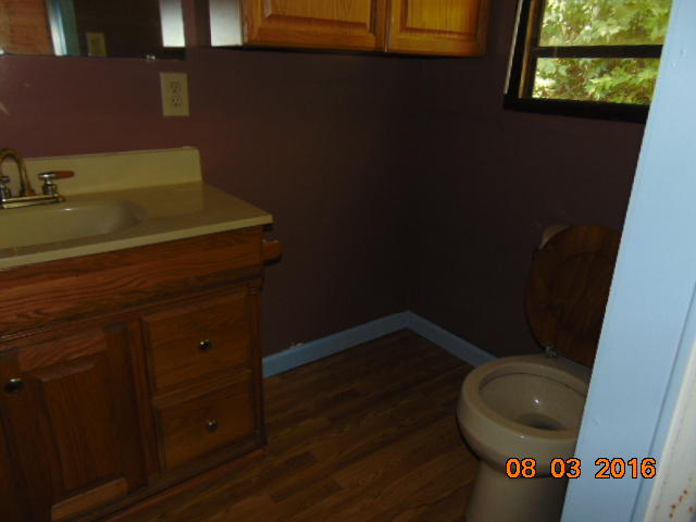 413 Engel Road Loudon, TN 37774 - Photo 8 of 11 mst bath use
