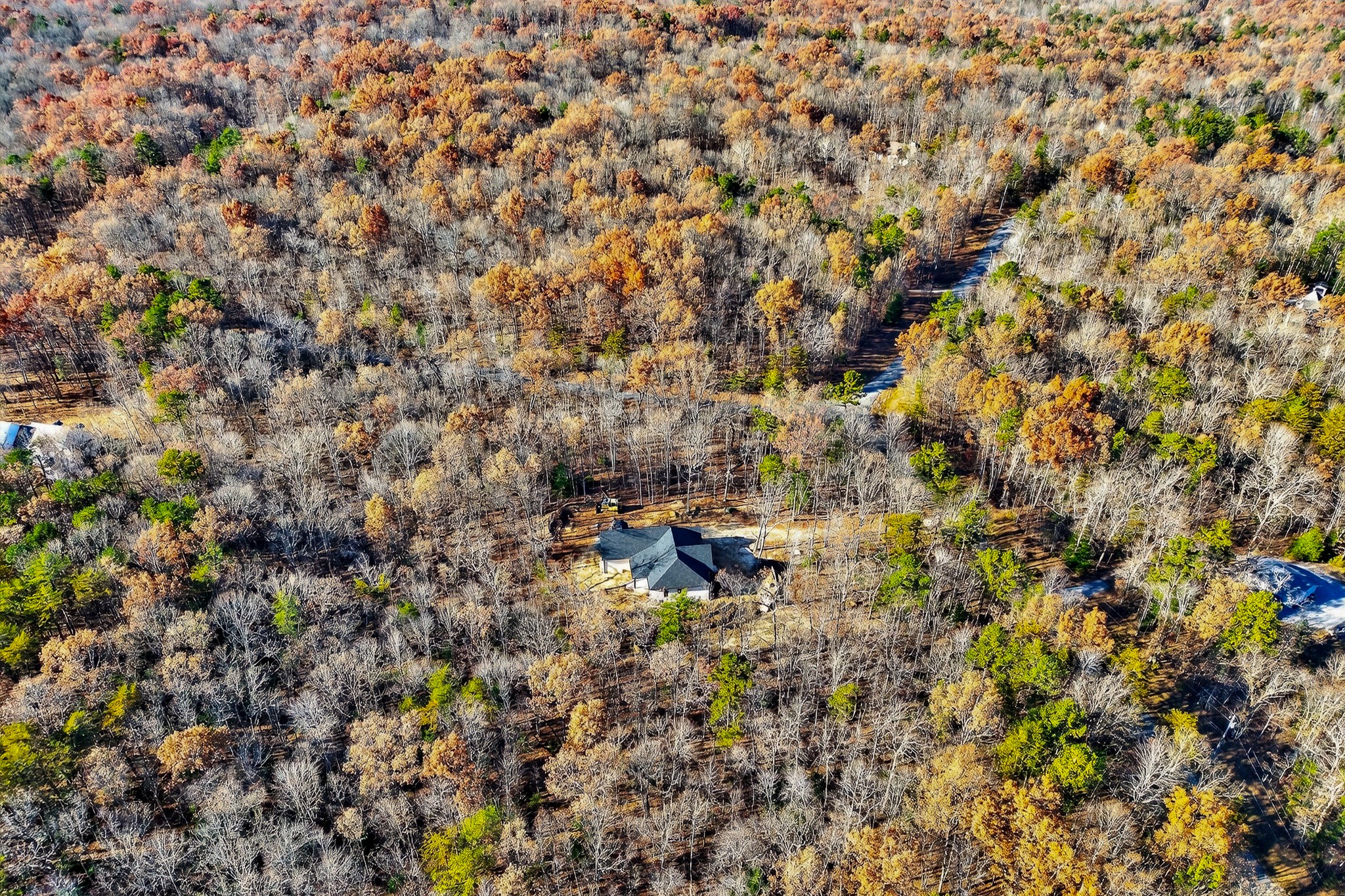2 Browder Point Monterey, TN 38574 - Photo 48 of 51 a view of a yard with a tree