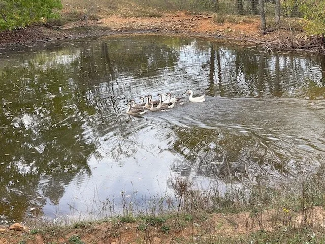 a view of a lake view