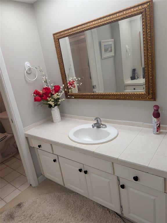 700 Starkey Road, Unit 821 Largo, FL 33771 - Photo 23 of 29 a bathroom with a sink and a mirror