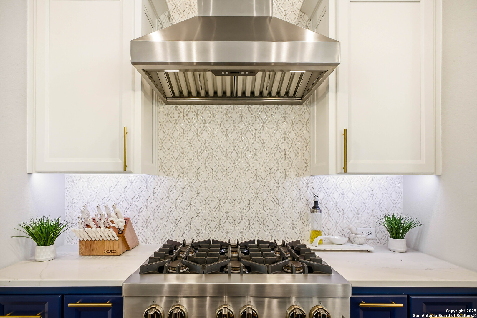 23315 Ebner Ridge San Antonio, TX 78255 - Photo 30 of 103 a kitchen with a stove and potted plant