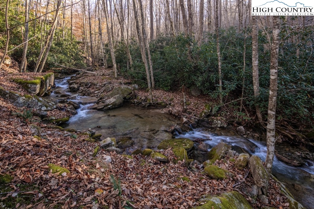 535 Pinnacle Ridge Road Beech Mountain, NC 28604 - Photo 29 of 31