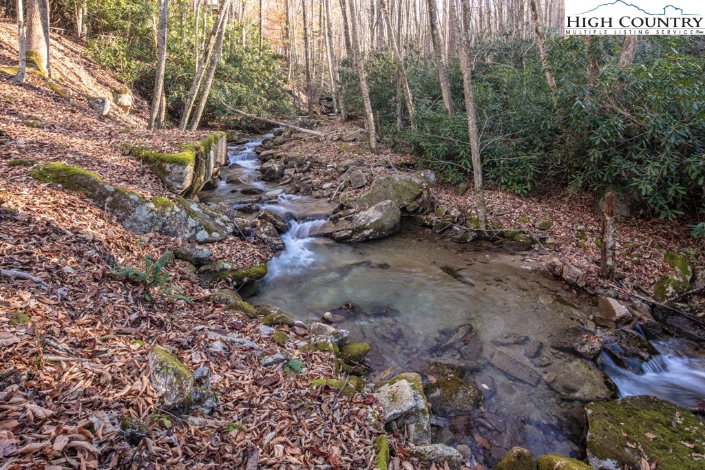 535 Pinnacle Ridge Road Beech Mountain, NC 28604 - Photo 30 of 31