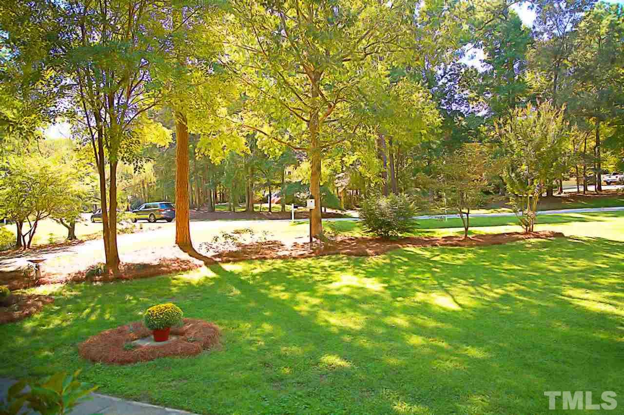 4109 Ridgebrook Bluffs Drive Raleigh, NC 27603 - Photo 21 of 25 Gallery Image 21