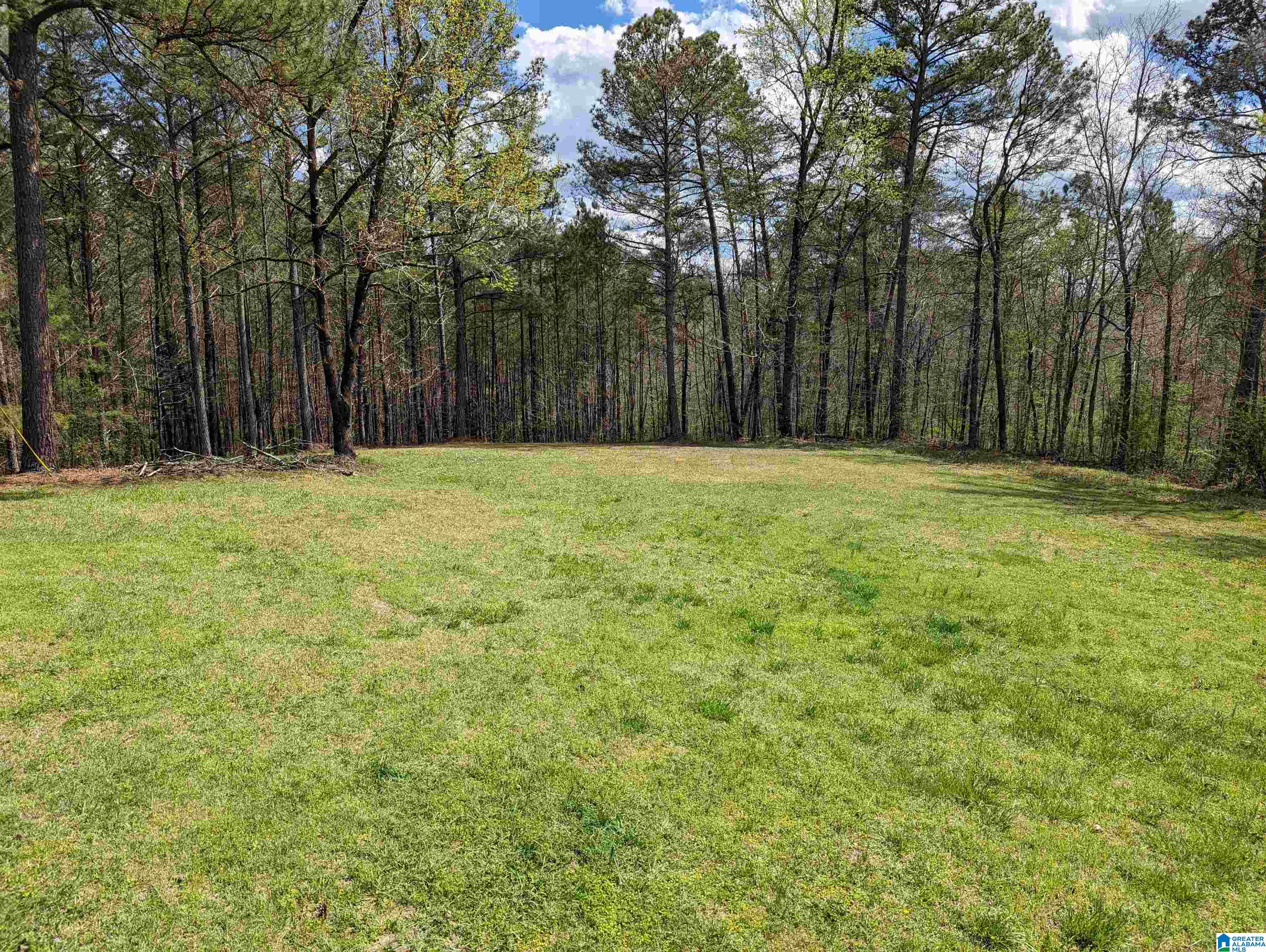 2590 Tutwiler Road Oakman, AL 35579 - Photo 31 of 32 Gallery Image 31