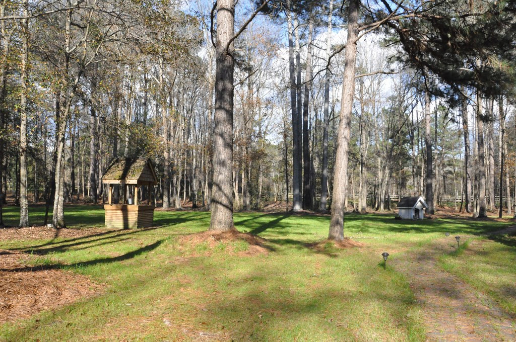 1201 Clayton Road Ridge Spring, SC 29129 - Photo 12 of 56