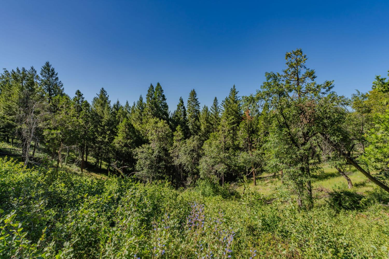 0 Schaefer Ranch Road Pioneer, CA 95666 - Photo 45 of 72