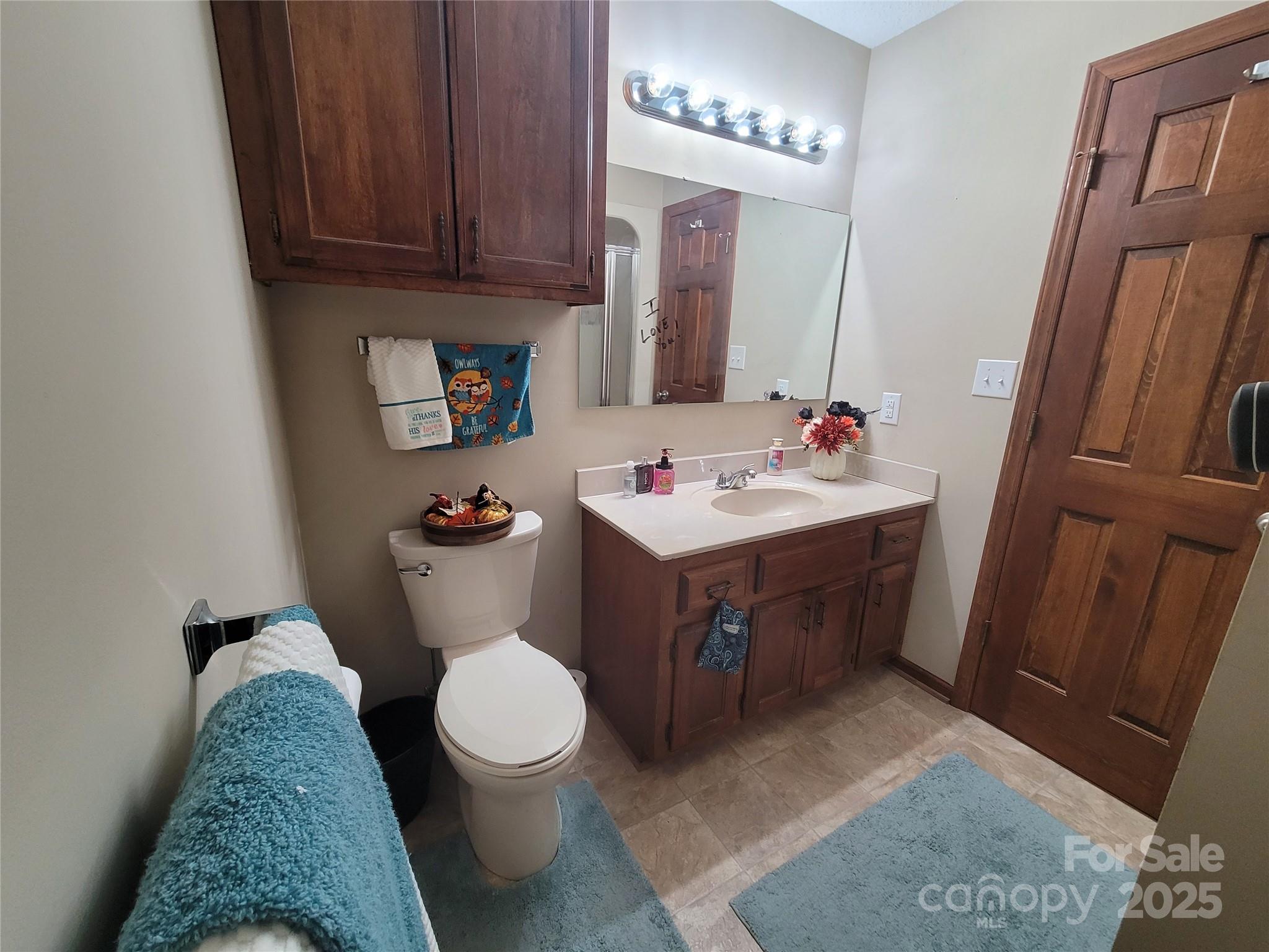 1349 High Shoals Road Lincolnton, NC 28092 - Photo 19 of 42 a bathroom with a sink toilet and mirror
