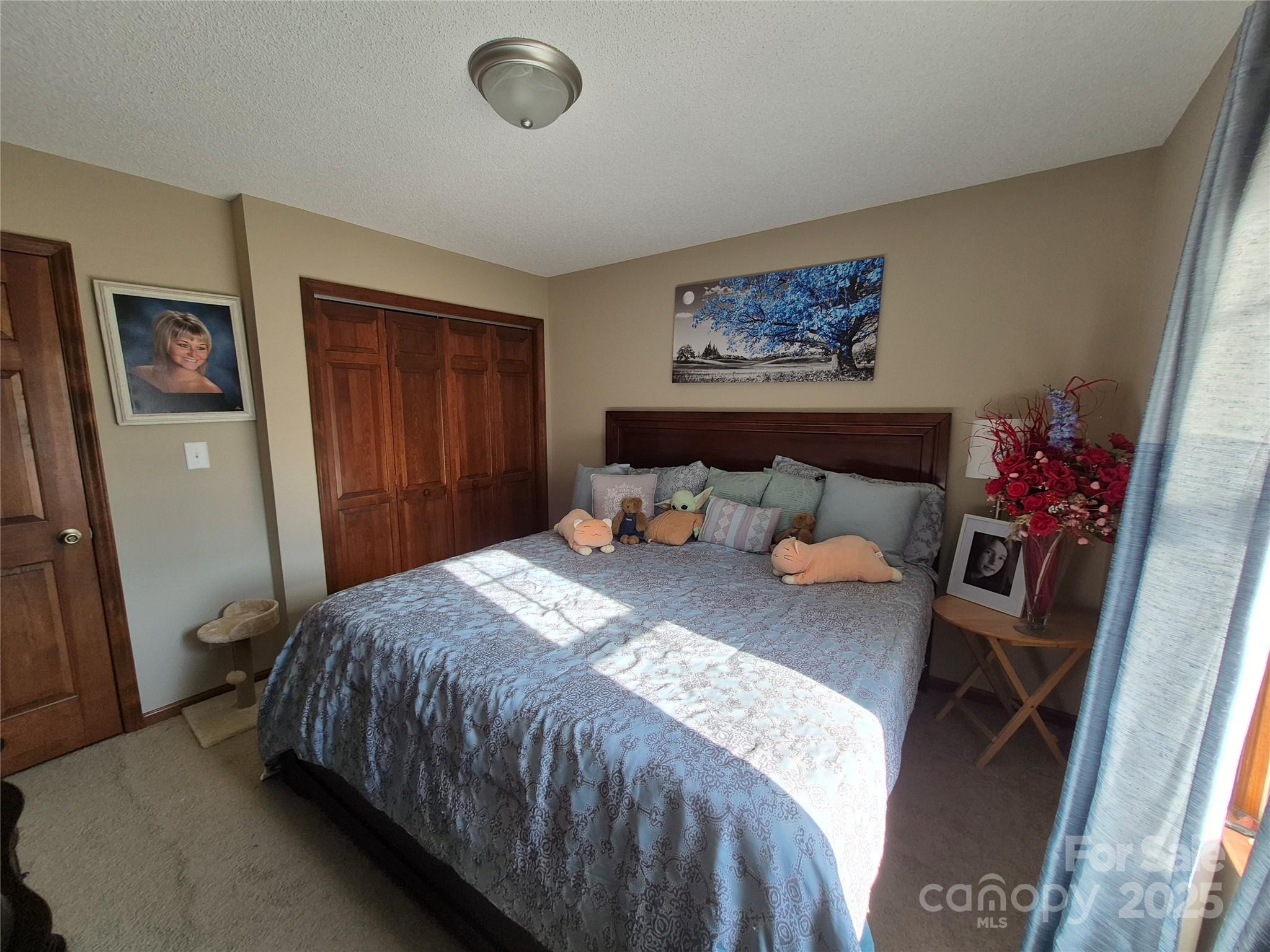 1349 High Shoals Road Lincolnton, NC 28092 - Photo 21 of 42 a bedroom with a bed and a chandelier