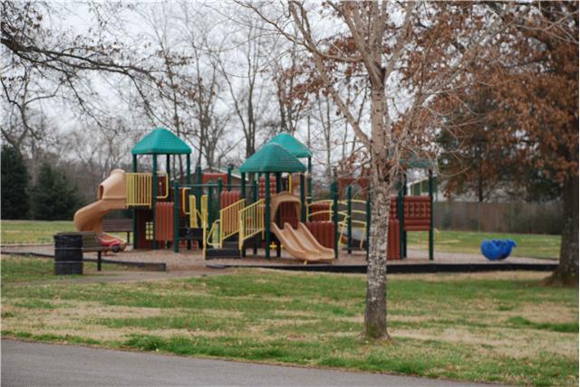 2107 Cypress Drive Murfreesboro, TN 37130 - Photo 9 of 20 Playground