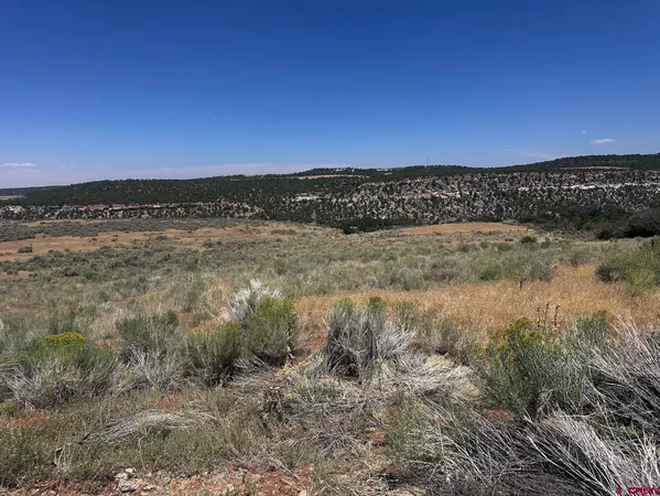 $575,000 | 29373 Highway 184, Dolores, CO 81323