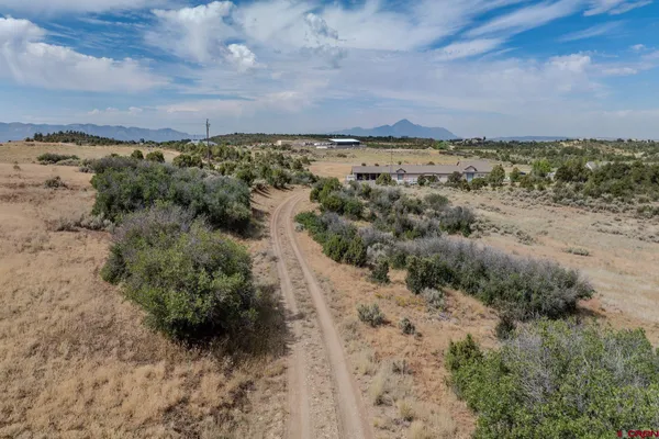 a view of a dry yard with wooden fence