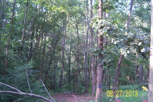 519 Raby Road Sweetwater, TN 37874 - Photo 5 of 9 Additional Photo