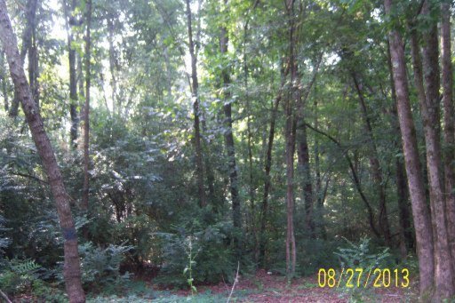 519 Raby Road Sweetwater, TN 37874 - Photo 8 of 9 Additional Photo