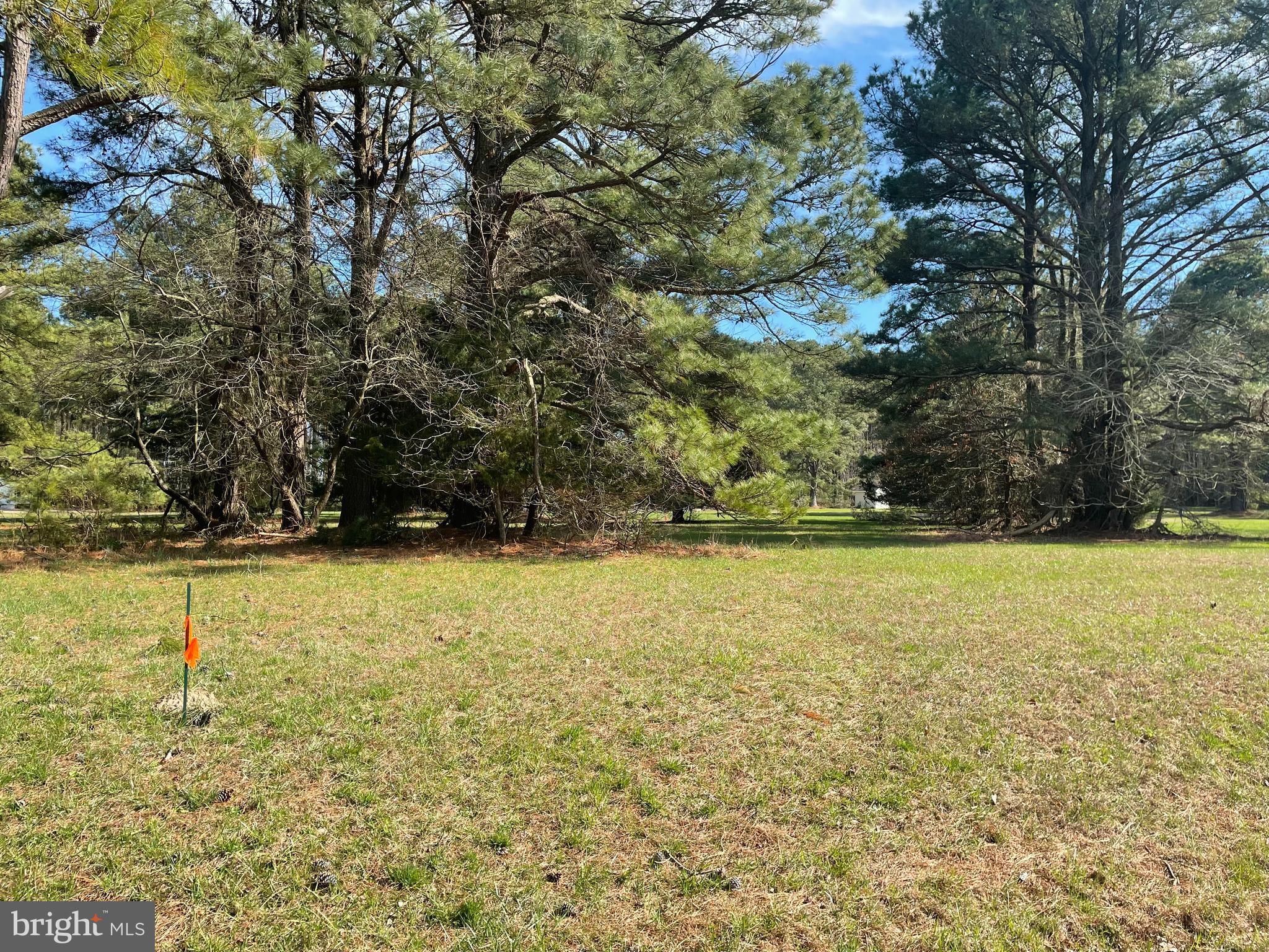 Lot 302 Underway Road Greenbackville, VA 23356 - Photo 1 of 4