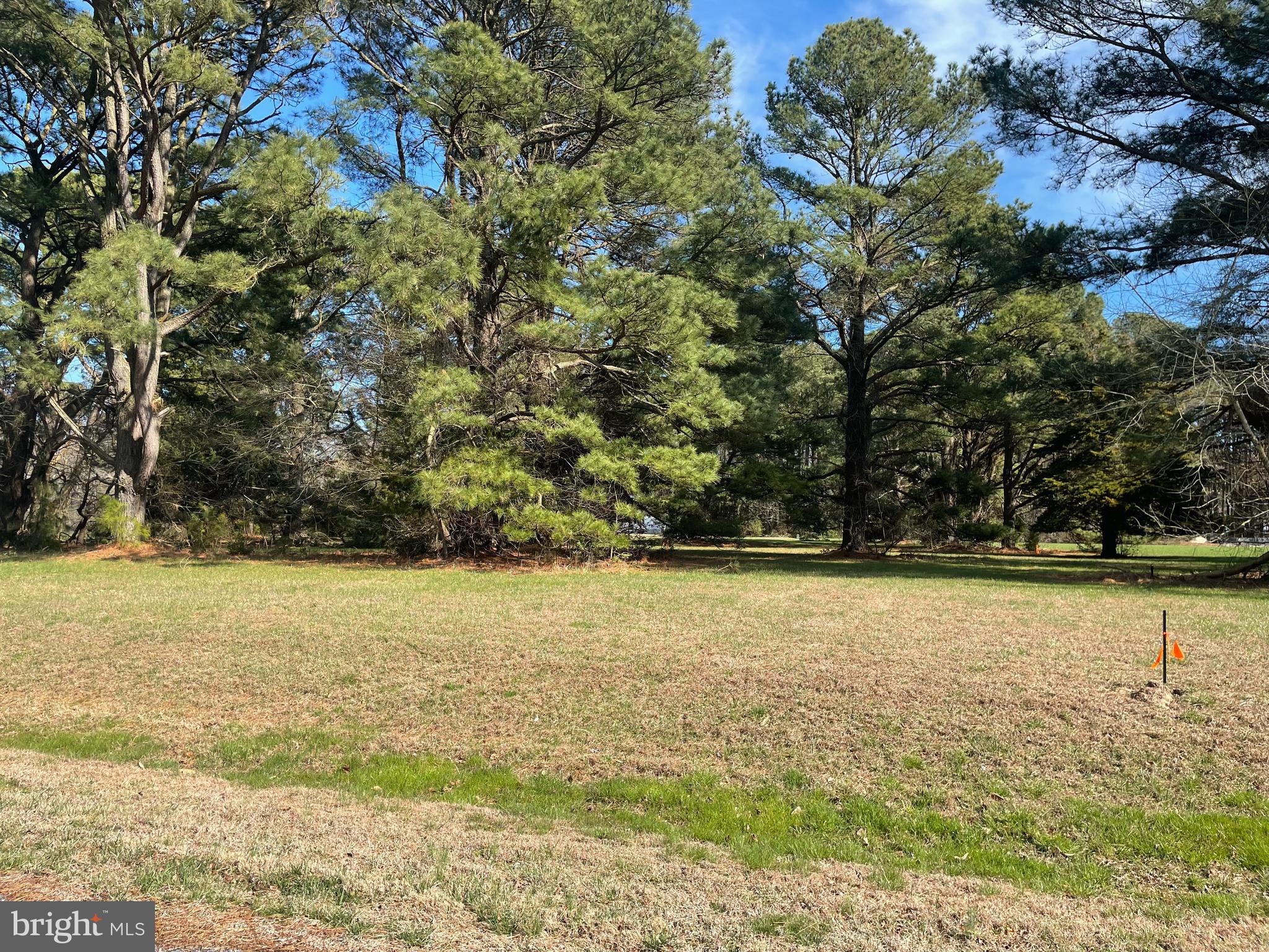 Lot 302 Underway Road Greenbackville, VA 23356 - Photo 3 of 4