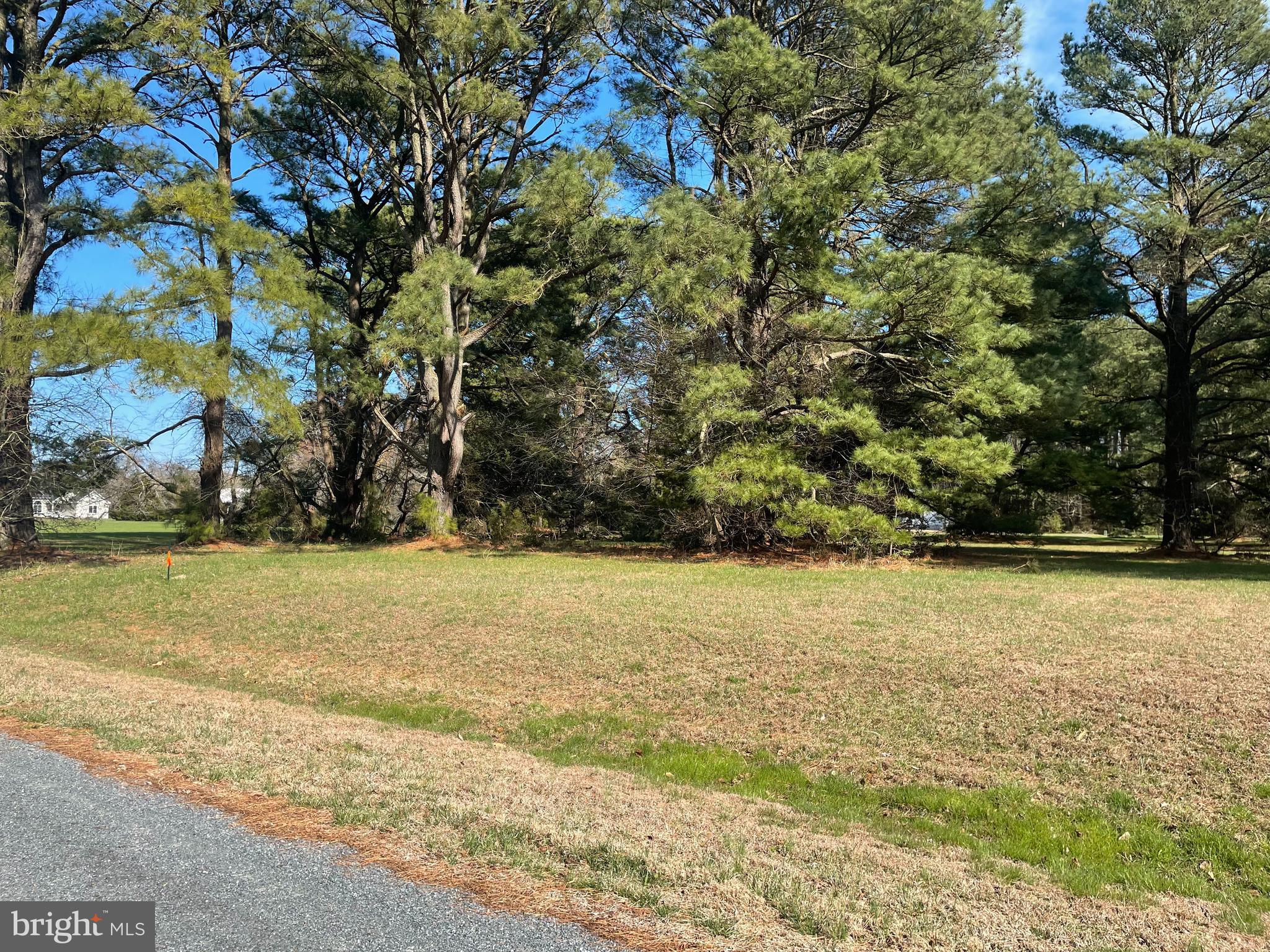 Lot 302 Underway Road Greenbackville, VA 23356 - Photo 4 of 4