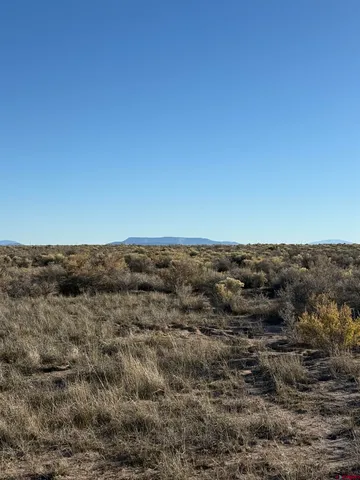 a view of a dry field with trees in background